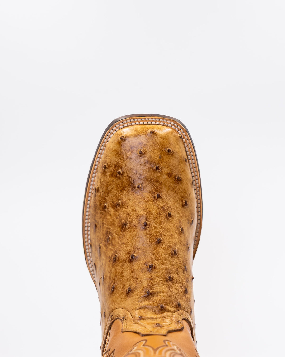 Birch Cork